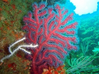  Le profondità del mare